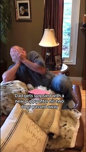 11K views · 557 reactions | Daddies gets surprised with a new puppy after their dogs passed away 梁❤️ #dog #dogsoftiktok #puppy #surprise #gift #emotional #hearttouching #wholesome #foryou #vira | Beautiful Dogs Love | Facebook