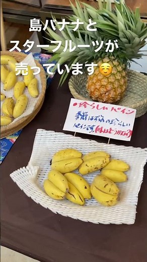 まいぱり熱帯果樹園😊宮古島のフルーツがなっている所を見れます😮ハイサイおじさんが流れてます❗️