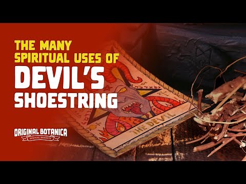 The Many Spiritual Uses of Devil's Shoestring