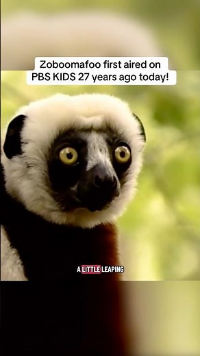 Zoboomafoo First Aired 27 Years Ago Today!