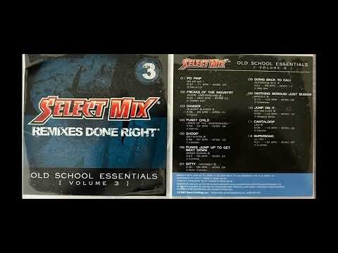 J.J. Fad (12. SUPERSONIC - SELECT MIX VERSION - VOL. 8 - OLD SCHOOL ESSENTIALS) JJ Sonic Hedgehog