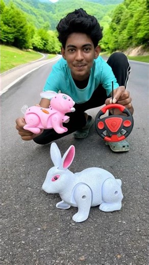 Rc Remote Wala Pink and White Rc Khargosh Unboxing Dise🔥