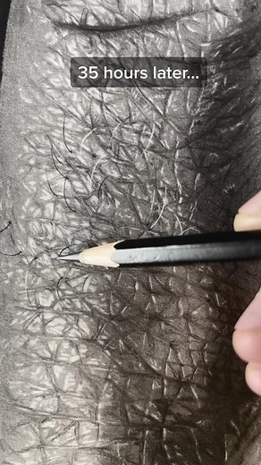 The Most Difficult Drawing Journey | Pencil Art Showcase