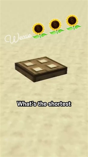 Minecraft Smallest Block #Smallest #block #minecraft | Windy Bandico