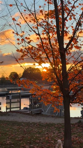 Jonathan Lewis on Reels