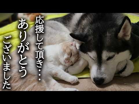 みなさまにお伝えしたいことがあります...