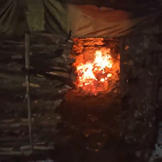 Surviving Winter with My Dog Under a Rock Shelter | Bushcraft & Nature Sounds