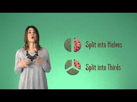 Grade 3 Module 5 Lesson 10: Comparing Unit Fractions