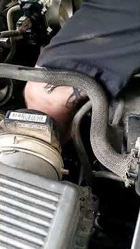 HOW TO : Vortec engine timing chain cover gasket and water pump replacement ; Time-lapse PART 1