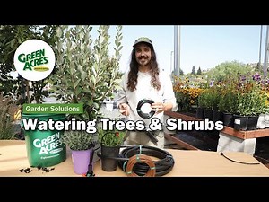 How to Water Trees and Shrubs with Drip Irrigation