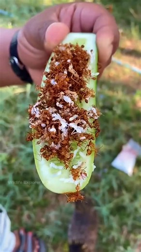 Some of the strangest and most bizarre foods in the world #foodshorts #shorts #bizarre #animals