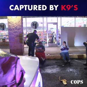 Police K9’s are masters at sniffing out drugs and criminals. These episodes were filmed in 2003 and 2019 and feature the Spokane County Sheriff's Office , City of Spokane Police Department , and Grand Prairie Police . #copstv #cops #K9 #policek9 #police #SpokaneCounty #SpokanePD #GrandPrairiePD | COPS