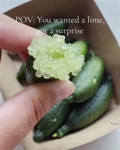 Explore the Benefits of Caviar Lime for Skin Care