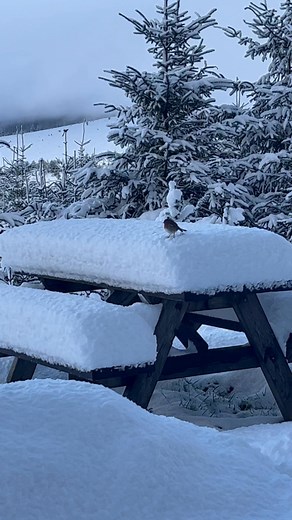 55 reactions · 5 comments | Sna!!!!! | Dave Jacobs | Facebook