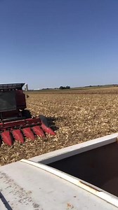 Popcorn farming! #FarmTok | The Popcornfarmer