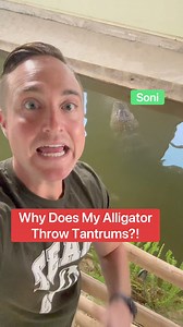 51K views · 1.1K reactions | Why Does My Alligator Throw Temper Tantrums?!樂 | Corbin Maxey | Facebook