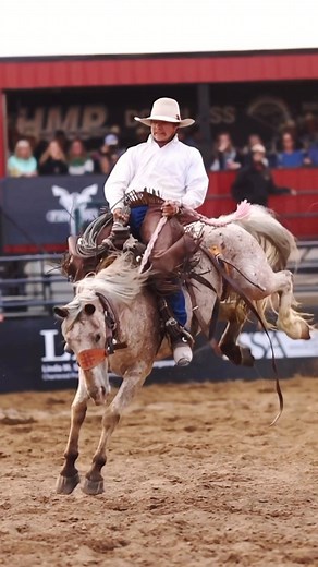 A tidy lil ranch bronc ride at the elite @hardgrassbroncmatch —- . . . 📍Pollickville, Alberta @hardgrassbroncmatch Conversation encouraged! Leave a dick of a comment? Blocked. Thx 🙏 #rodeo #canonr5 #rodeowrecks #hardgrassbroncmatch #gh6 #prorodeo #buckinghorses #calgarystampederanch #rodeolifestyle #buckingbulls #cowboyphotos #rodeovideography #pastureroping #cowboy #longlivecowboys #cowboyshit #barrelracing #rodeoshit #rodeofilms #saddlebronc #broncriders #broncriding #bulldogging #broncmatch