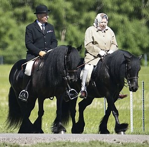 808K views · 13K reactions | A timeless image from 2015 — Queen Elizabeth II riding her cherished Fell pony, Carltonlima Emma, accompanied by her loyal head groom, Terry Pendry. A reminder of her lifelong love for horses and the countryside she adored. #QueenElizabethII #RoyalHorses #WindsorGreatPark #EquestrianHeritage #HistoryInMotion #CarltonlimaEmma #TerryPendry #fblifestyle | Hooves, Paws & Hearts | Facebook