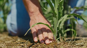 12 reactions | Community Energy is about making your community thrive. It’s about investing in what your community cares about most. Brought to you by Columbus Light & Water and TVA. | Tennessee Valley Authority | Facebook