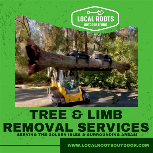 Contact our team of professionals the next time you are in need of tree or limb removal services! We are standing by and ready help you recover from a storm, reclaim your land, and everything in between. | Local Roots SSI | Facebook