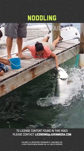 179K views · 614 reactions | Best fishing fails ever 藍 | FailArmy | Facebook