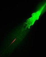 Triggering rain with lasers