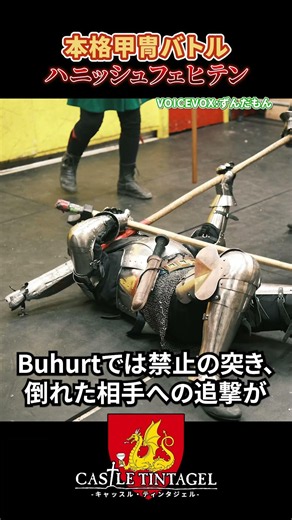 超本格甲冑バトル『ハニッシュフェヒテン』