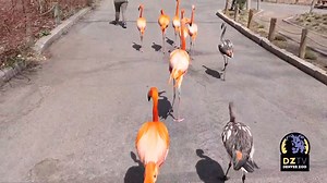 196K views · 9.4K reactions | For a while, our Keepers have been...