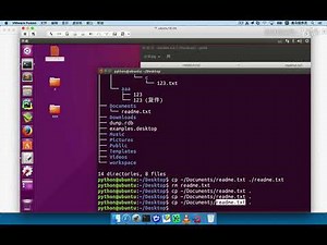 032 32 拷贝和移动命令 04 cp命令 i选项覆盖前提示
