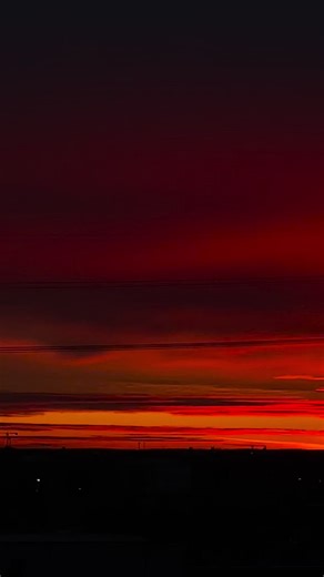 bloody monday. | TVC15