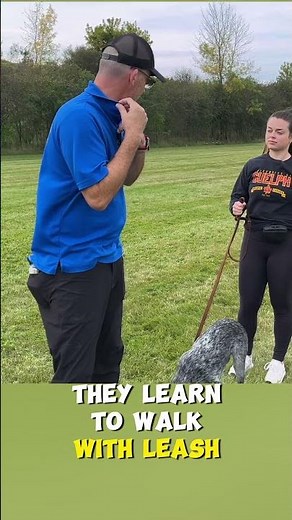Start Your Leash Walking Training HERE!