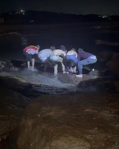 💔The shores of St Mikes witnessed an unexpected and touching event as a baby humpback whale washed up on the beach, prompting a heartfelt response from our close-knit community. With everyone pitching in, a true display of care and concern unfolded to help the stranded sea dweller. As word spread, local authorities quickly stepped in to assess the situation. The young whale, clearly disoriented and worn out after straying from its natural habitat, became the focus of discussions among the offic