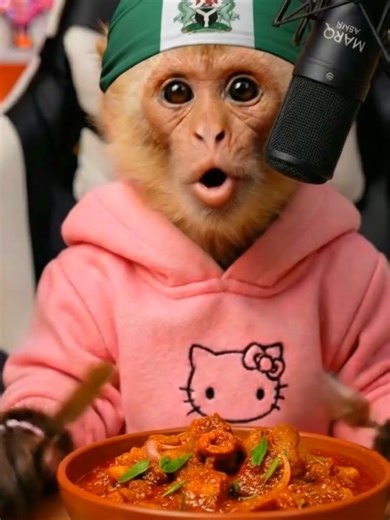 MONO KIBO probando ESTOFADO NIGERIANO 🇳🇬 ASMR Tiernito (Sonidos Muy Relajantes) Mira a Kibo, el mono capuchino, descubriendo el sabor del Cow Foot Stew de Nigeria. Disfruta de este ASMR de mono comiendo este estofado tradicional con texturas ricas, jugosas y sonidos muy satisfactorios. En este video encontrarás: - ASMR de mono comiendo Cow Foot Stew muy jugoso. - Sonidos de masticar (Eating sounds) tiernos y potentes. - El monito capuchino Kibo probando comida de Nigeria. - Momentos curiosos y