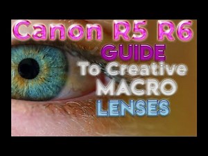 Creative Macro lenses for Canon R5 R6 (Canon Lenses Macro Photography)