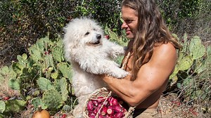 Primitive harvest of wild cactus fruit with Rufo