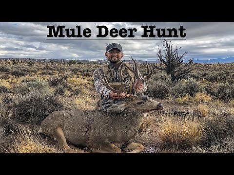 Mule Deer Hunting 2018 - Muzzleloader Hunting Season on Public Land