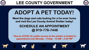 Adopt-a-pet at Lee County Animal Shelter - the shelter has a number of dogs and cats available that are all looking for their fur-ever homes! Make an appointment to visit at 919-776-7446 and consider pet adoption. #leecountync #AnimalServices #adoptdontshop #petadoption #furbabyfriday | Lee County Government - North Carolina
