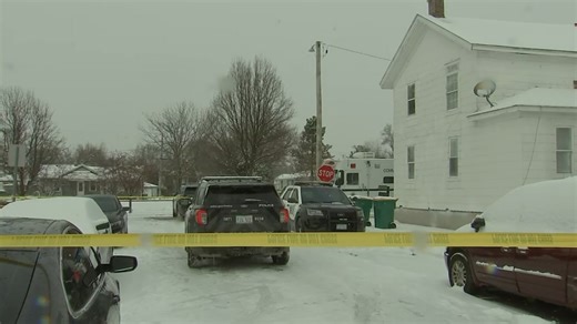 4-year-old boy, his mother shot to death at Joliet home; person of interest in custody: police