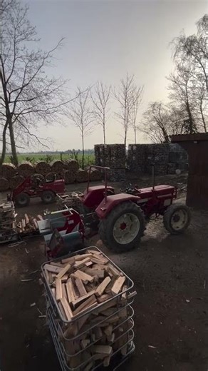 Beste Brennholz-Qualität für Ihr Zuhause! 🇨🇭🔥