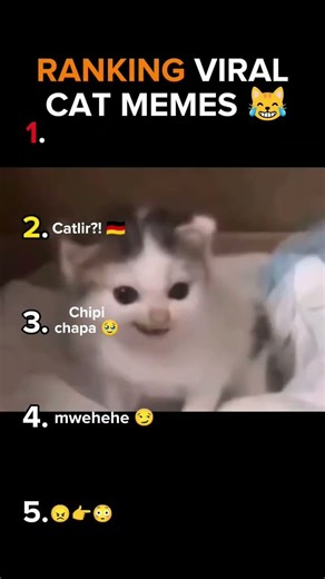 Ranking the Funniest Cat Memes 😂🐱 | Ultimate Cat Meme Tier List #shorts #memes #cats #viral
