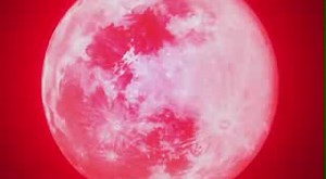 Night Wizard The Animation 03 Anything groupDVDRip