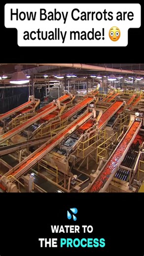 How Baby Carrots are actually made! | carzy facts
