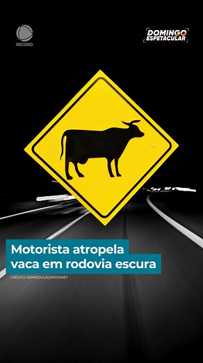 1.3M views · 16K reactions | Uma mulher filmava a estrada pela janela...