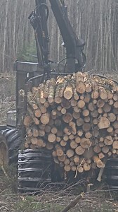 Loading the Bison with the 028HD Grip #grippen #ponsse #logger | Logger Mack