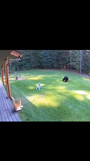 Feed Your Brain on Reels | Facebook