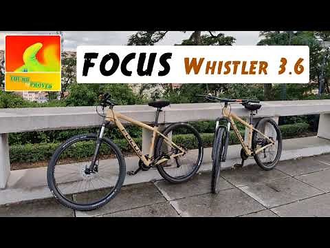 FOCUS Whistler 3.6 2020 - 29'' MTB - Mountain Bike walkaround