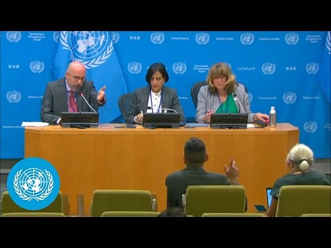 Biodiversity Conference - Discussion of main issues | United Nations