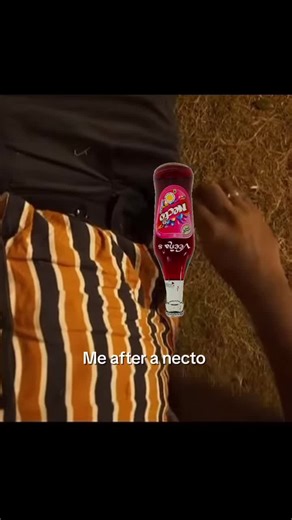 Necto needs to keep rolling in #viral #tamilmemes #vijaysethupathi #tamilcomedy