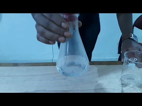 10th Science, Activity 1.3