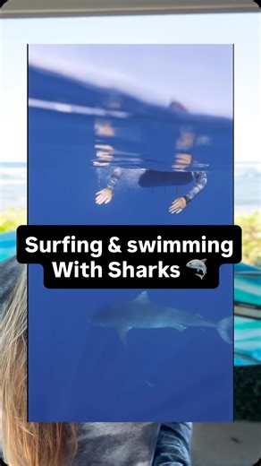 Ocean Ramsey #OceanRamsey on Instagram: "In my hope of helping people to be safer while enjoying the ocean by learning how to coexist with sharks, I wanted to share information about both technological options and other choices/behaviors that can help us adapt to sharks’ sensory systems and ecological role and behavior. . I genuinely care about people and sharks, and I hope fellow surfers, swimmers, and divers might find something here helpful or insightful—or hopefully you already know all of t